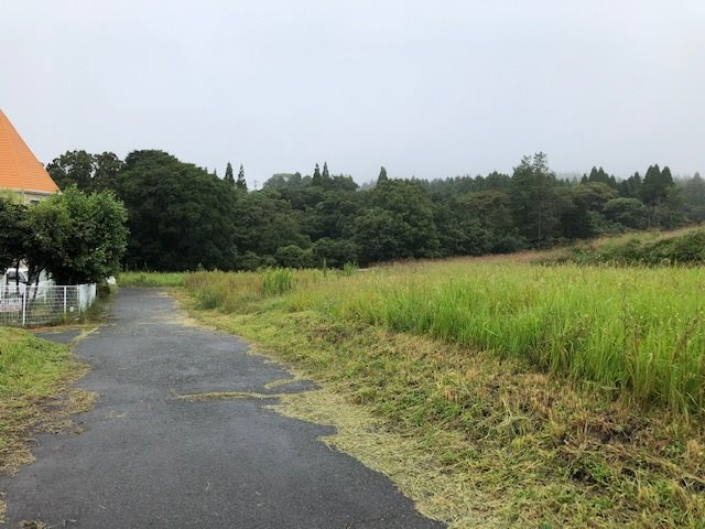 南阿蘇村河陽(猪解)土地 その他