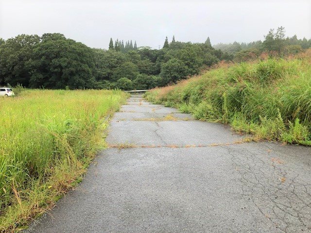 南阿蘇村河陽(猪解)土地 その他