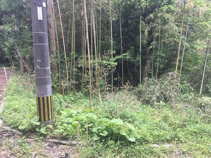 南阿蘇村両併土地 外観写真