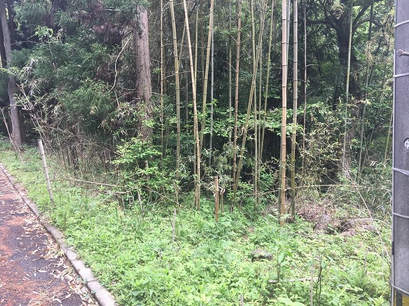 南阿蘇村両併土地 その他