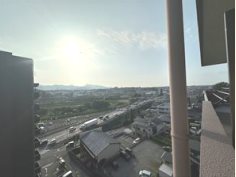 ニューフレックス清水本町 703号室 その他