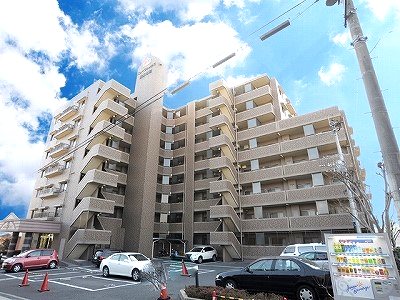 ニューフレックス清水本町 703号室 その他