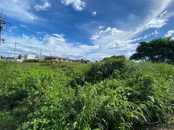 宇土市立岡町土地 外観写真