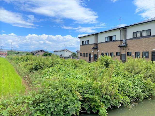 宇城市不知火町亀松土地 その他