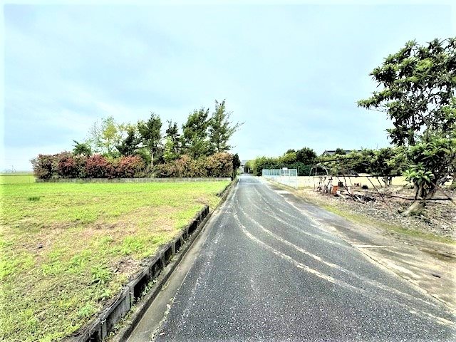 八代郡氷川町新田土地 その他