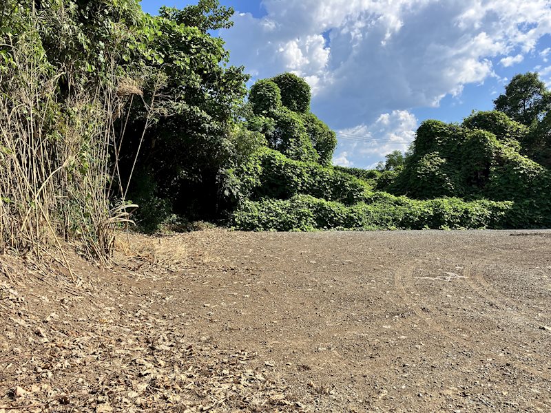 益城町田原土地 その他