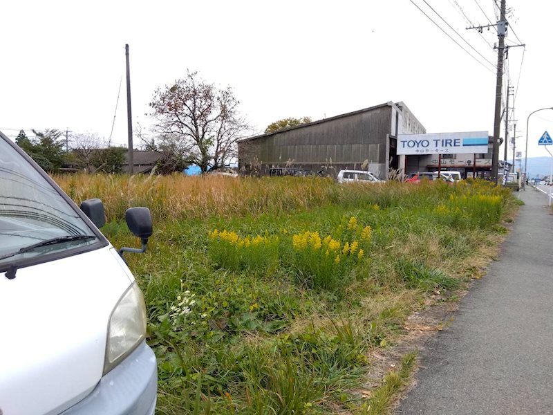 阿蘇市竹原土地 その他