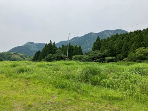 阿蘇郡南阿蘇村下野土地 その他