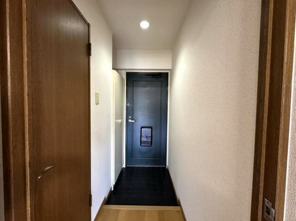 スカイハイツ島崎 402号室 その他