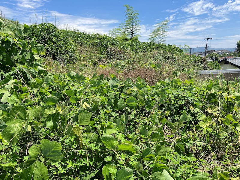 益城町馬水土地 その他