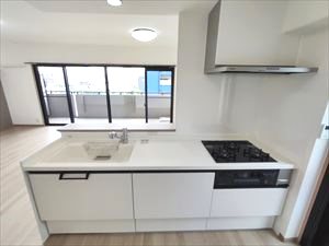 サーパス新屋敷 301号室 その他
