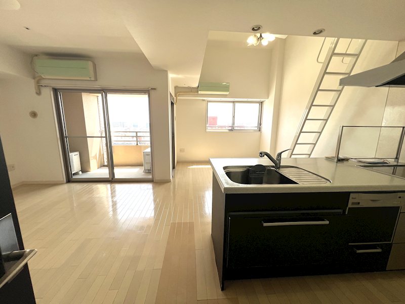 ラ・シック辛島 1406号室 その他