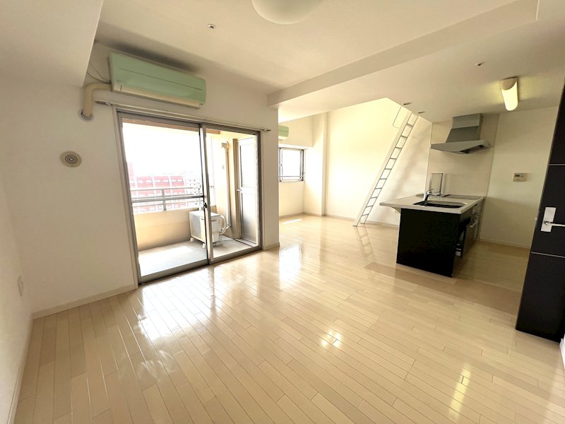 ラ・シック辛島 1406号室 その他