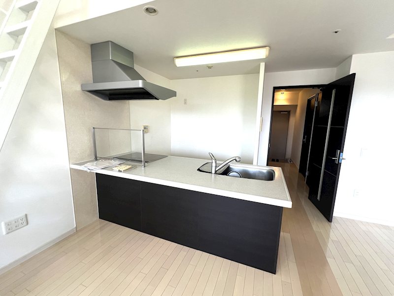 ラ・シック辛島 1406号室 その他