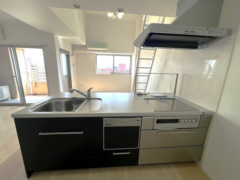 ラ・シック辛島 1406号室 その他