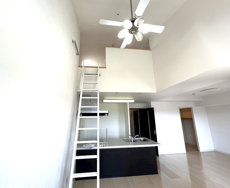 ラ・シック辛島 1406号室 その他