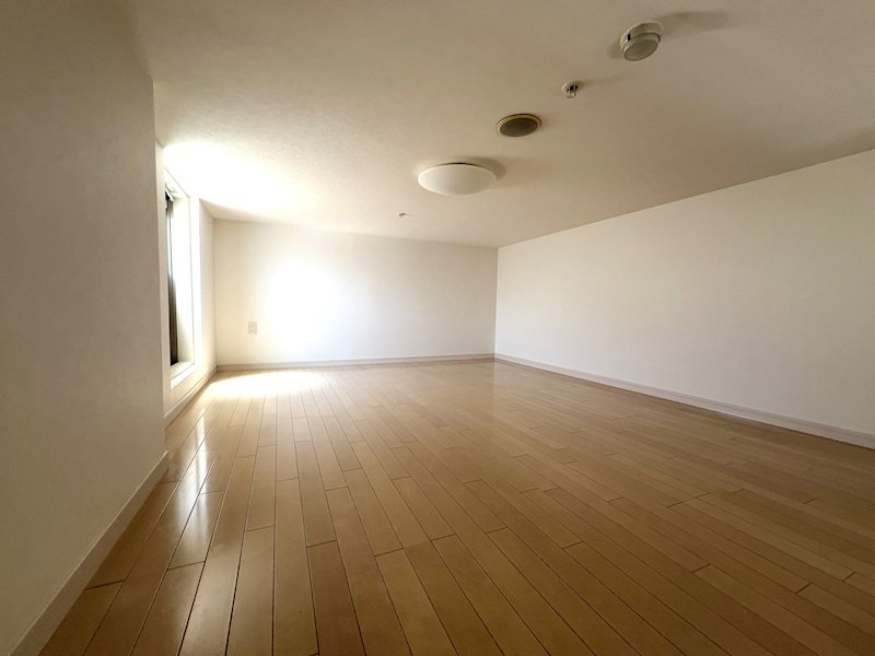 ラ・シック辛島 1406号室 その他