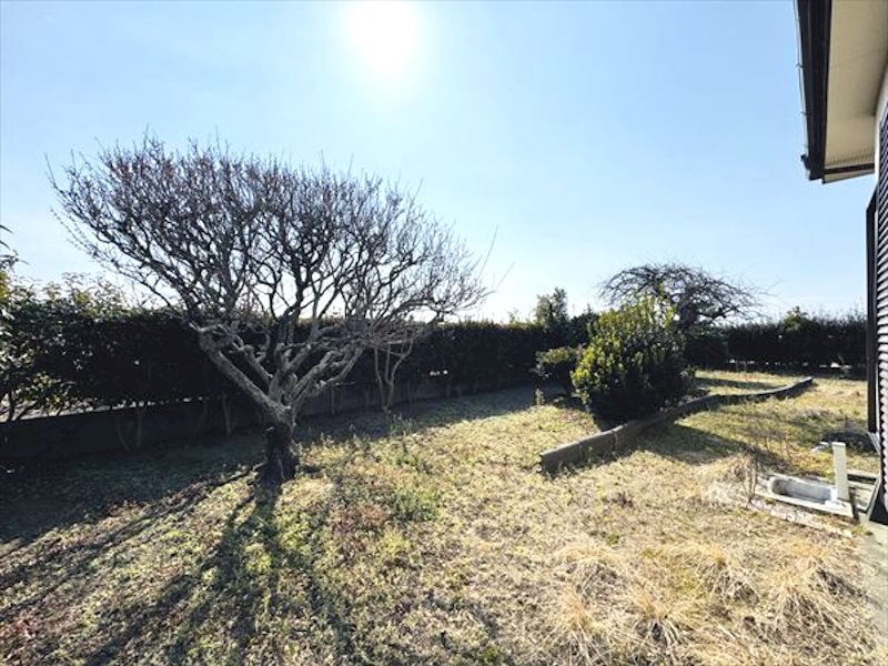 南区銭塘町戸建 その他