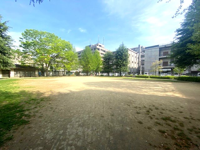 コープ野村九品寺 808号室 その他