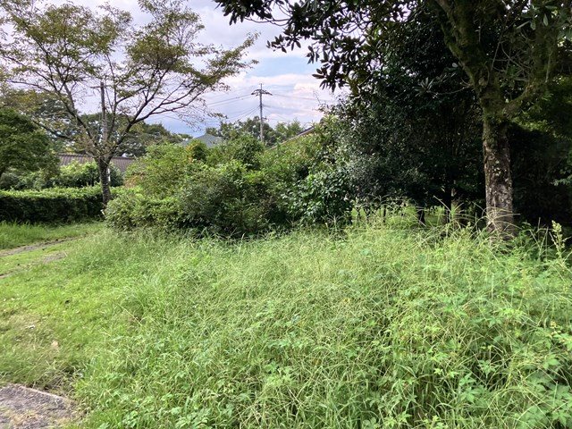 阿蘇市永草土地 外観写真