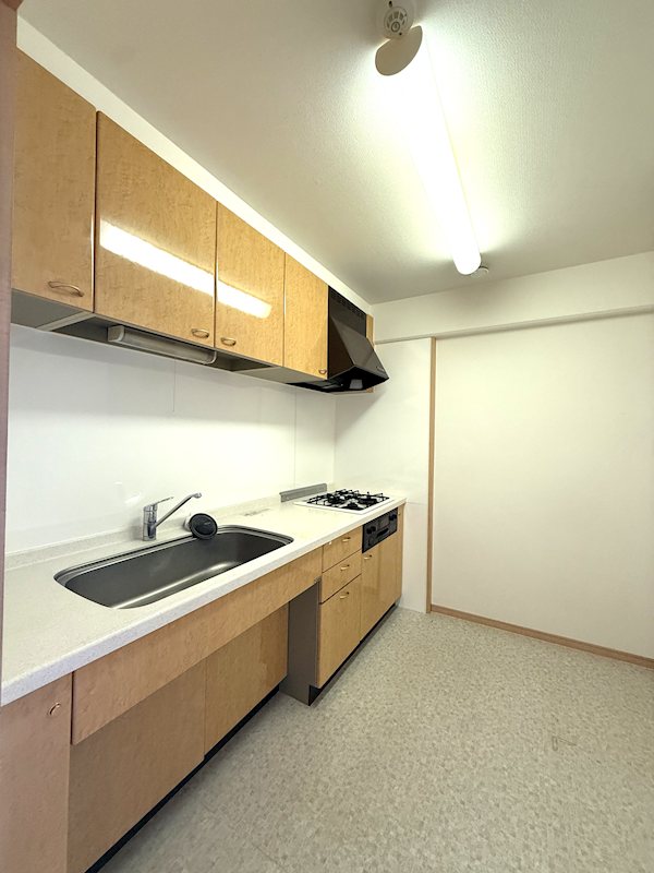 ハウベストマンション平成一番館 907号室 その他