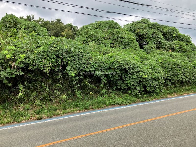 大津町古城土地 外観写真