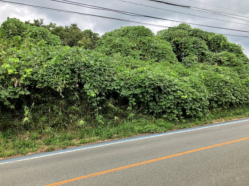 大津町古城土地 その他