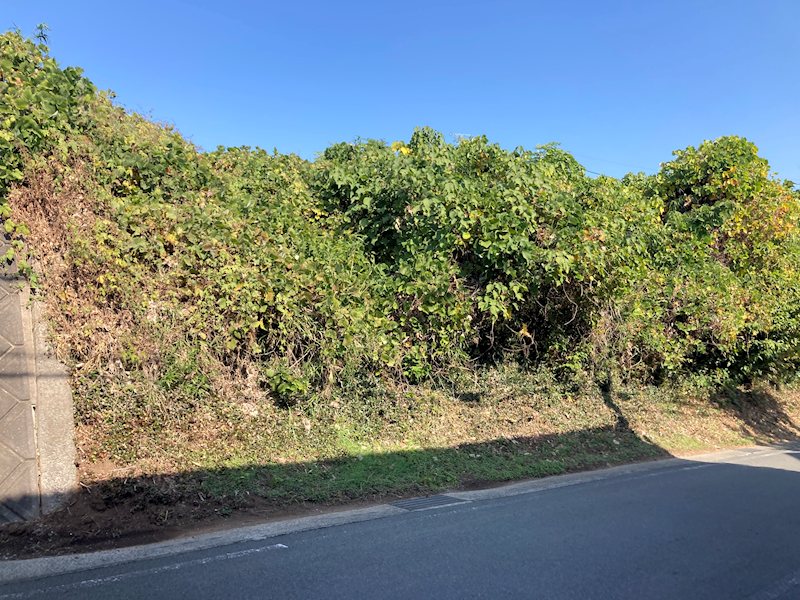 北区弓削1丁目土地 外観写真