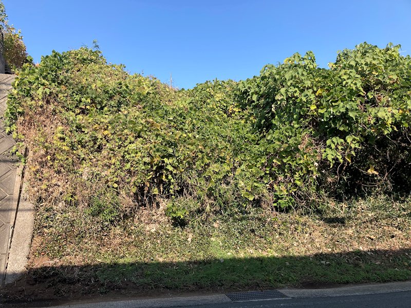 北区弓削1丁目土地 その他