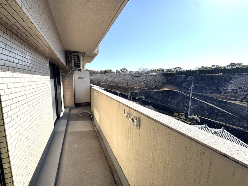 コアマンション藤崎台 503号室 その他