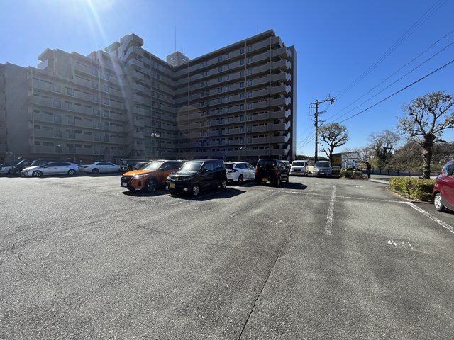 サーパスシティ白川弐番館 408号室 その他