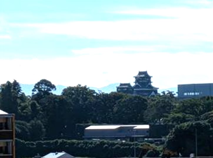 フラワーマンション上熊本 1002号室 その他