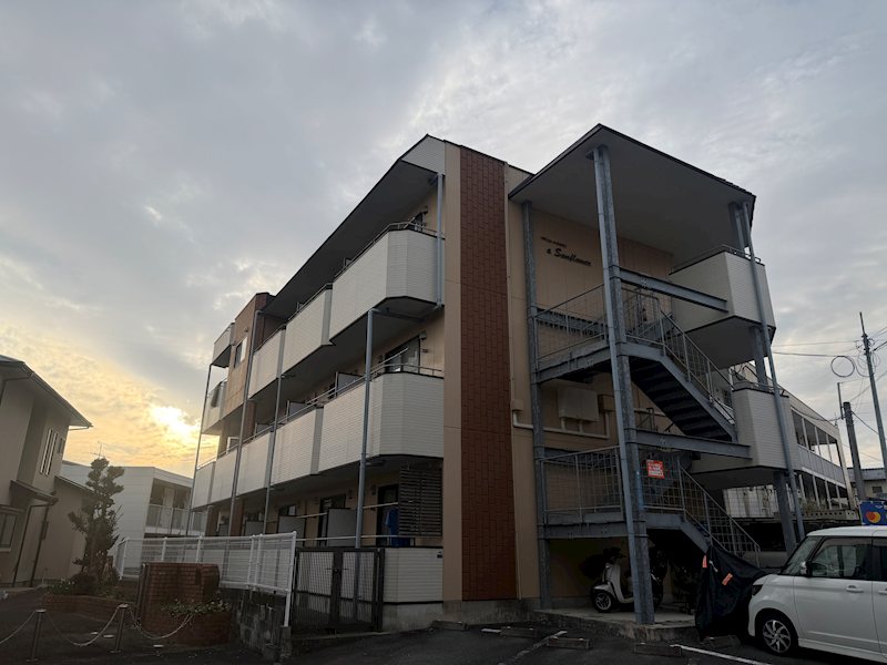 サンフラワー その他