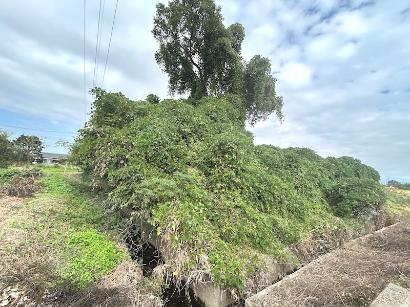 城南町赤見土地 その他