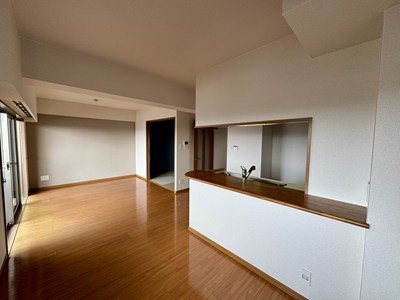 コアマンションリヴィエール子飼  902号室 その他