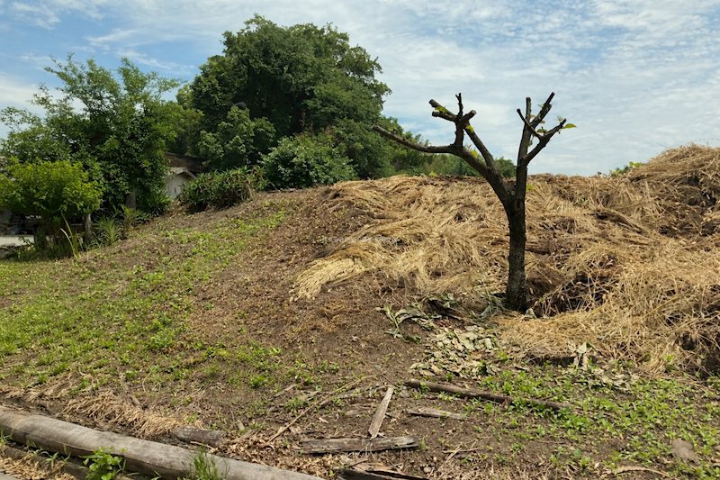 菊池市泗水町福本土地 外観写真