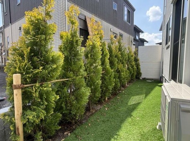 リナージュ・ネクスジー北区八景水谷3丁目第1期1号棟新築戸建 その他