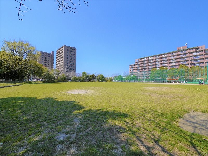 クローバーマンション坪井中央公園 905号室 その他
