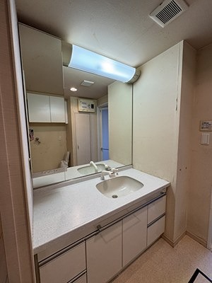 コアマンションルネス九品寺 310号室 その他