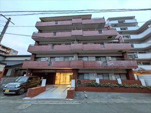 ロマネスク新屋敷 203号室 外観写真