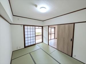 ロマネスク新屋敷 203号室 その他