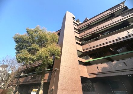 スカイハイツ熊本A棟 807号室 外観写真