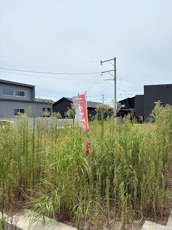上益城郡嘉島町大字北甘木土地 その他