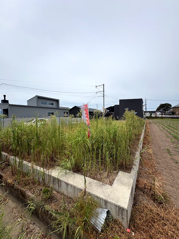上益城郡嘉島町大字北甘木土地 その他