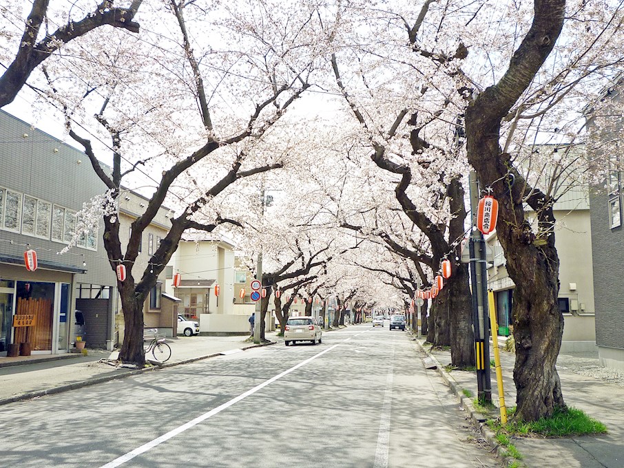 松原3丁目　土地 周辺の街並み
