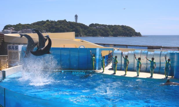 【非公開】藤沢市鵠沼松が岡１丁目　売地　３号地 ランドマーク