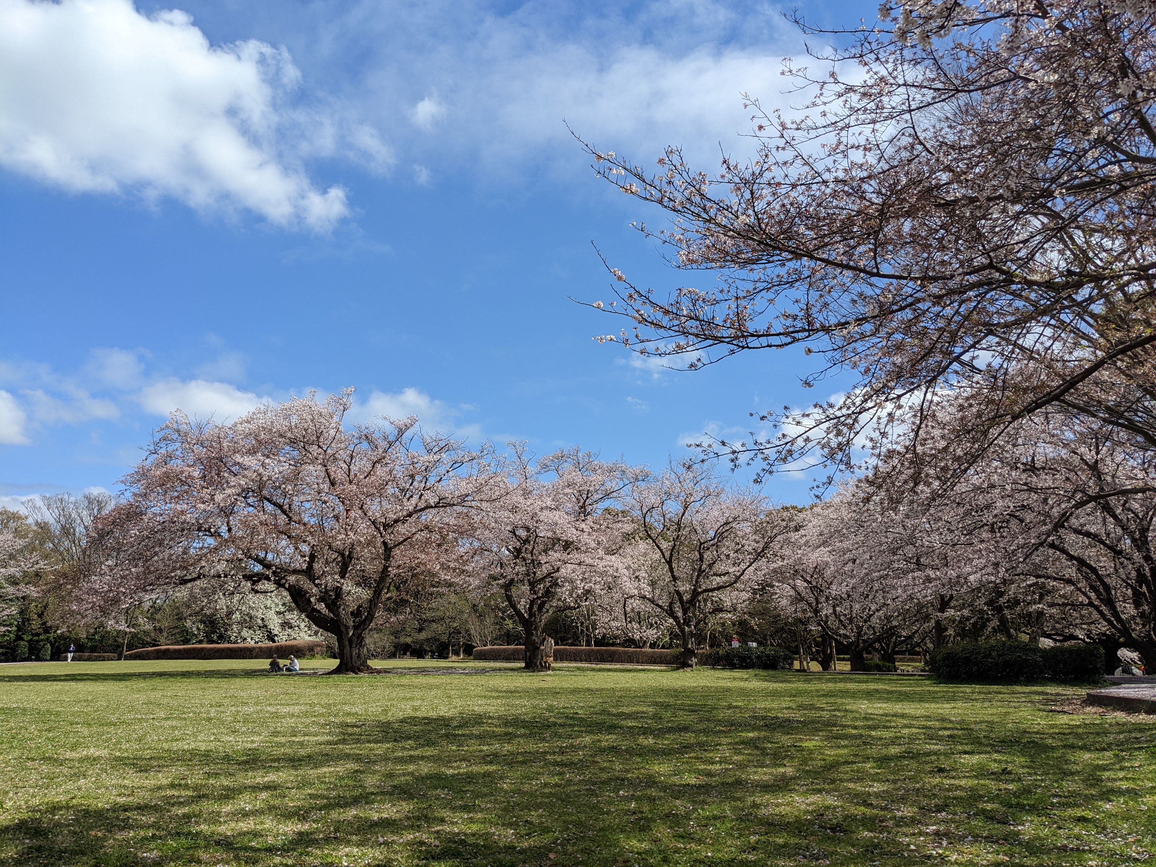 【非公開】湘南ライフタウン小糸東住宅　２号棟 公園