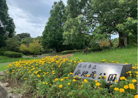 藤沢市大庭　新築戸建　Ｂ棟 公園
