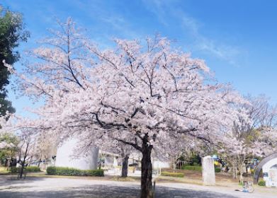 藤沢市今田　新築戸建 公園