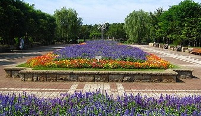 藤沢市本鵠沼４丁目　新築戸建　１号棟 公園